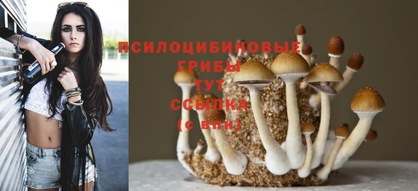 прущая мука Братск