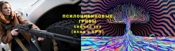 дмт Липки
