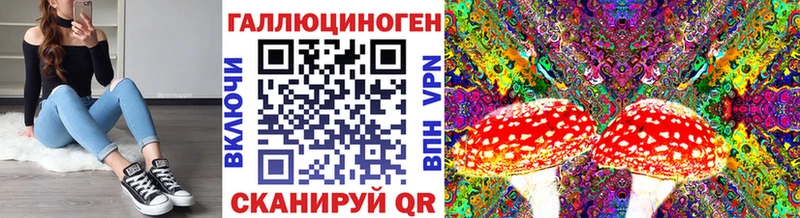 купить закладку  Мамоново  Псилоцибиновые грибы мицелий 