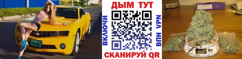 Конопля AK-47  Мамоново 